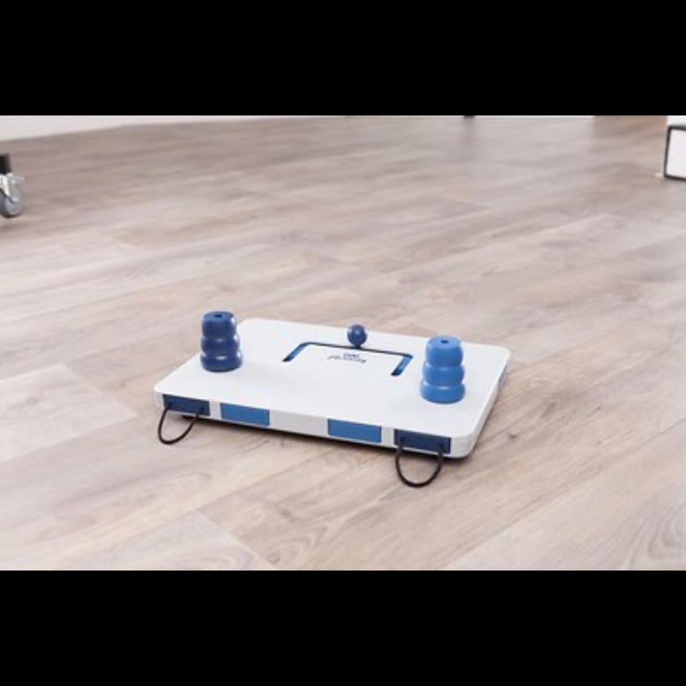 TREXIE Move2Win Activity Strategy Game, Dog Toy